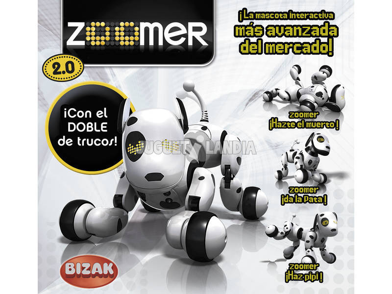 Zoomer 2.0