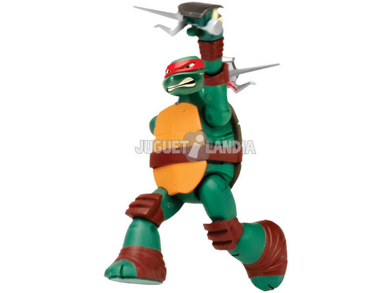 Ninja Turtles Ninja Action Figure