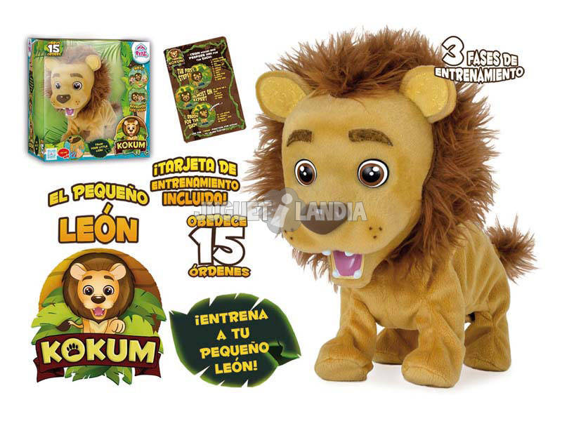 Le Petit Lion Kokum Interactif