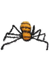 Ragno peloso arancione